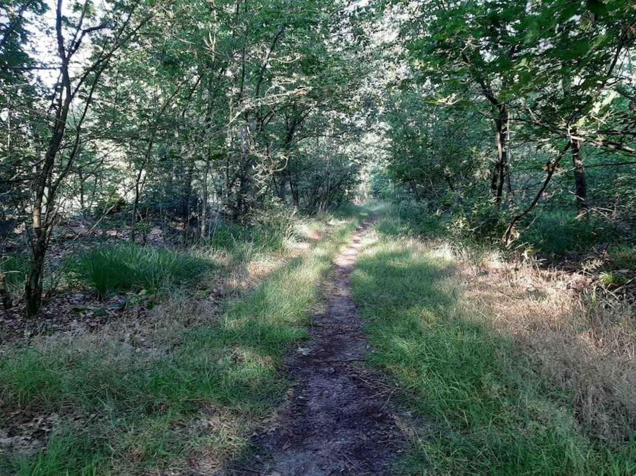 Vakantiehuis Eikzicht Gelegen Aan Het Bos Елсло Екстер'єр фото