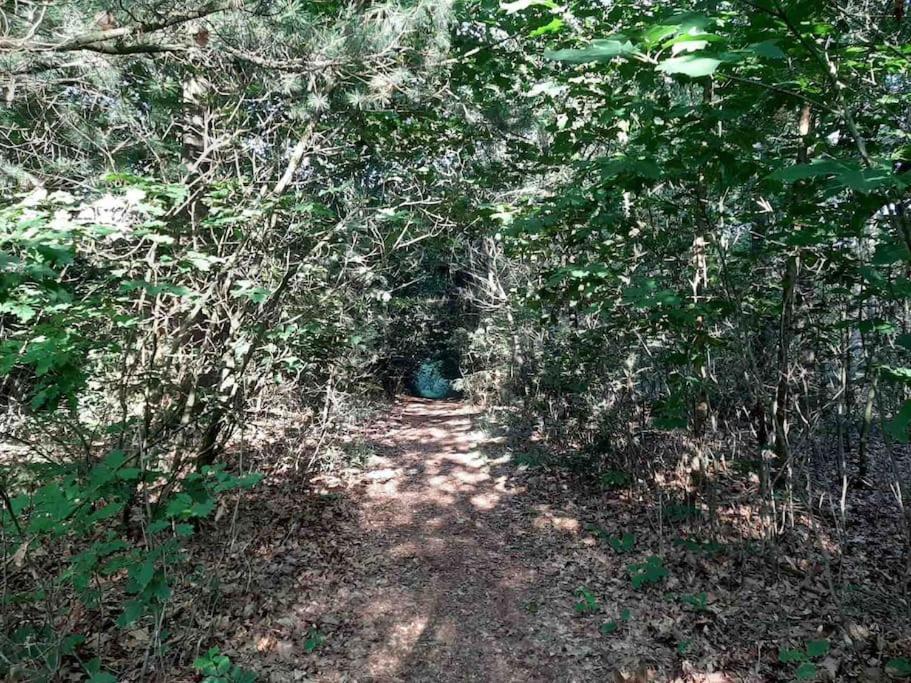 Vakantiehuis Eikzicht Gelegen Aan Het Bos Елсло Екстер'єр фото