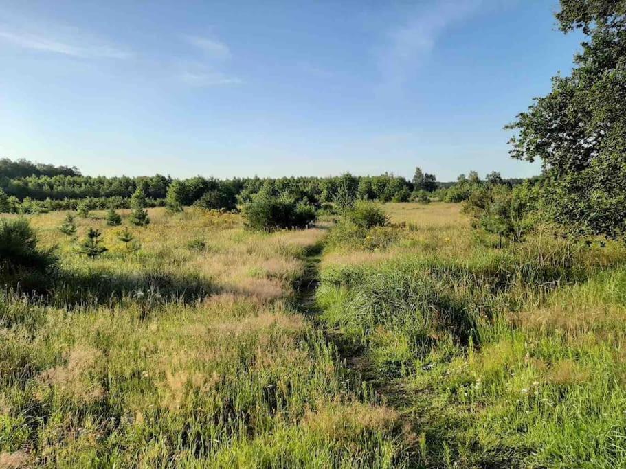Vakantiehuis Eikzicht Gelegen Aan Het Bos Елсло Екстер'єр фото