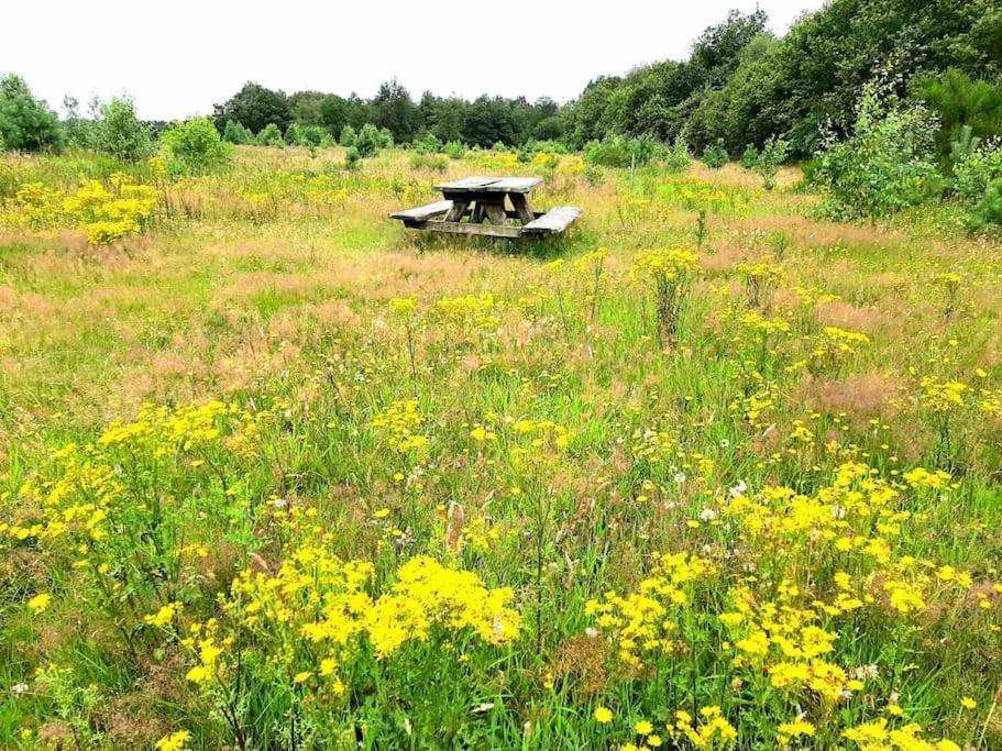 Vakantiehuis Eikzicht Gelegen Aan Het Bos Елсло Екстер'єр фото