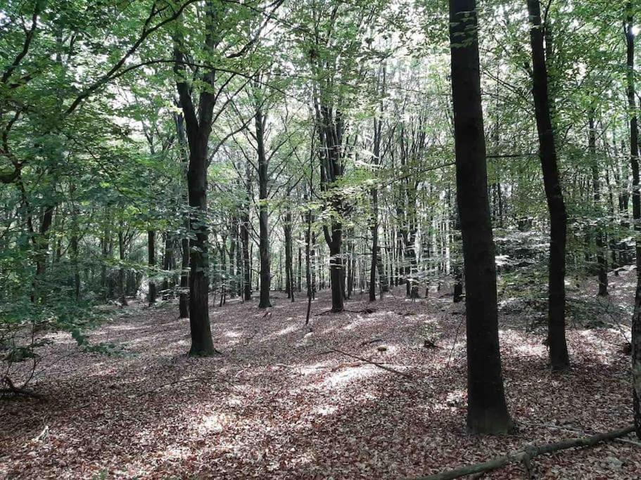 Vakantiehuis Eikzicht Gelegen Aan Het Bos Елсло Екстер'єр фото