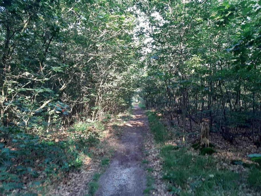 Vakantiehuis Eikzicht Gelegen Aan Het Bos Елсло Екстер'єр фото